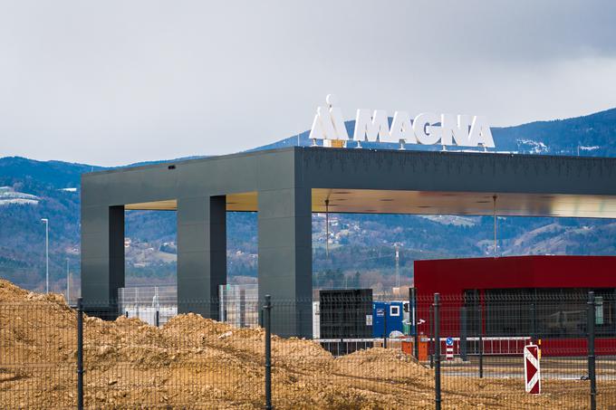 Magna | Foto: Matjaž Vertuš