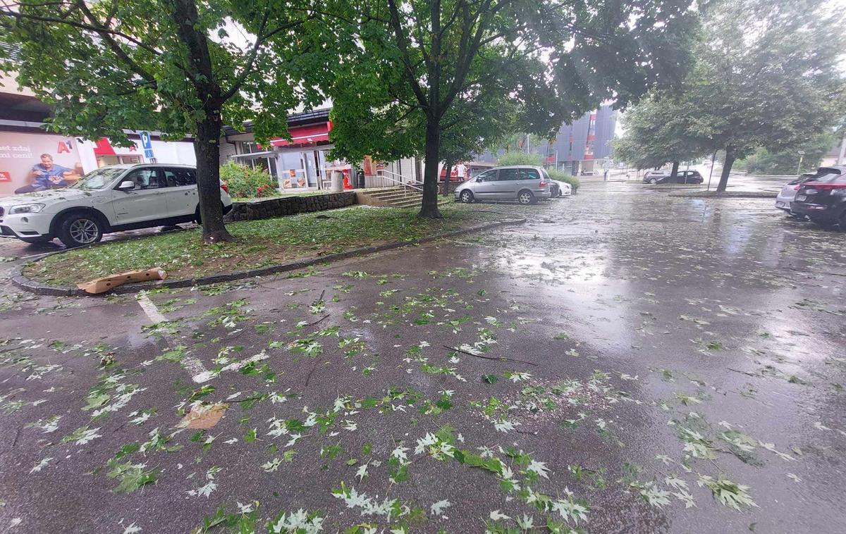 toča Radovljica | Posledice padanja toče v Radovljici. | Foto bralka