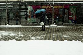 Sneženje v Ljubljani