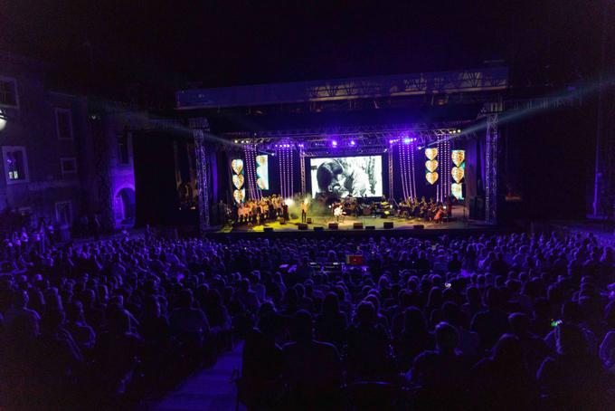 Koncert Viljem Julijan opominja, da so otroci, ki imajo težke redke bolezni in njihove družine, tu, med nami. Opominja nas, da je sprejemanje teh otrok naša človeška dolžnost ter da oni in njihovi svojci potrebujejo podporo. | Foto: Osebni arhiv