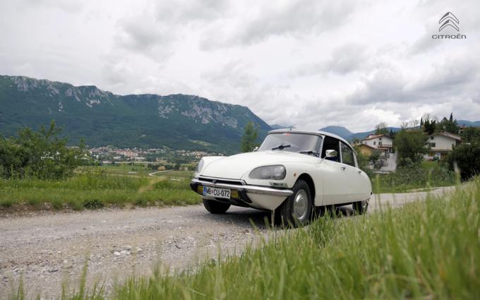 Citroen DS - žaba | Foto: 