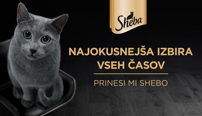 Sheba | Foto: 