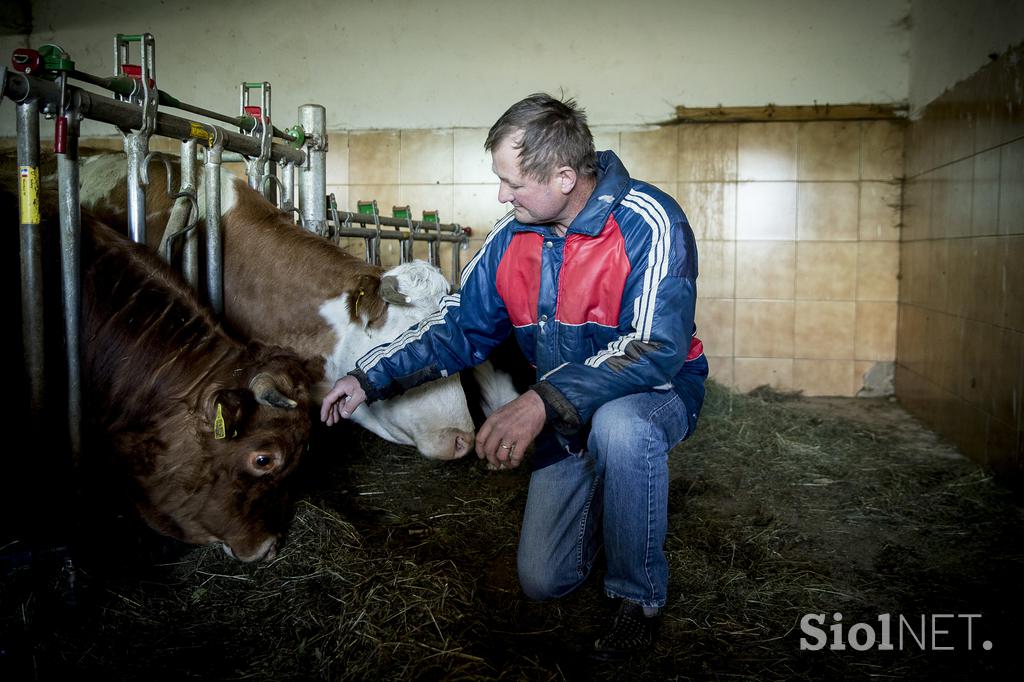 Turistična kmetija Kladje Andreja Henrik Podlesnik Ljubno