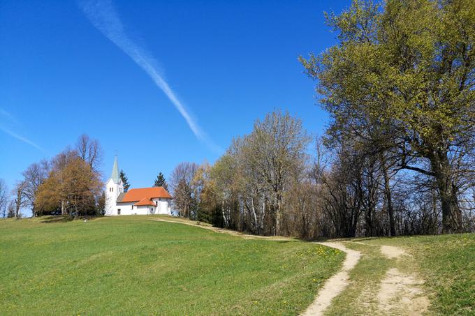 Osolnik oziroma Osovnik | Foto: Matej Podgoršek