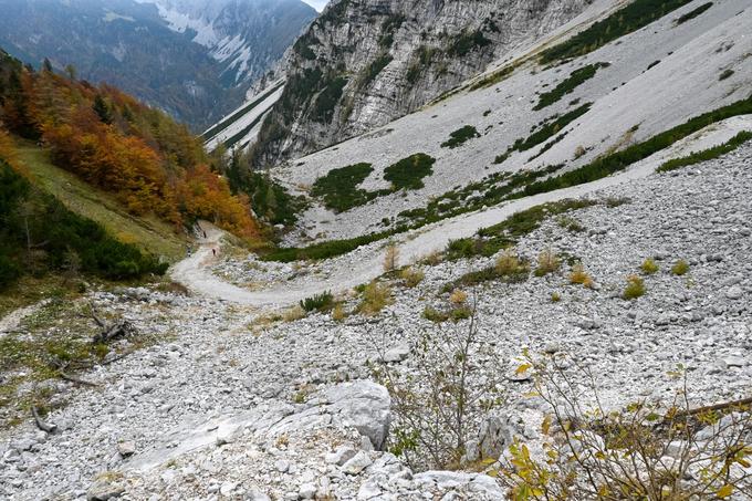 "Slalom" navzdol z Zelenice po že leta opuščenem smučišču. Na izhodišče na Ljubelju. | Foto: Matej Podgoršek