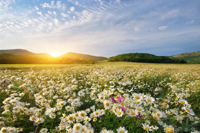 sončno vreme sonce | Foto Getty Images