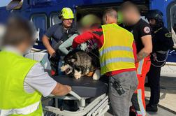 Veterinar o reševanju psičke Emme: Tako, kot se odpravimo na pomoč ljudem, pomagamo tudi živalim #foto