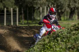 Tim Gajser 2024 Honda