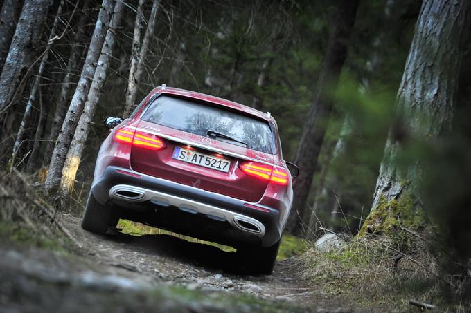 Mercedes-Benz E All-Terrain - gozd | Foto: Ciril Komotar