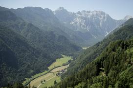 Izletniška kmetija Klemenšek Logarska dolina