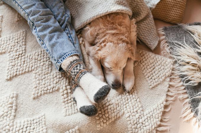 Strah pred petardami se pri psih kaže na različne načine. | Foto: Shutterstock