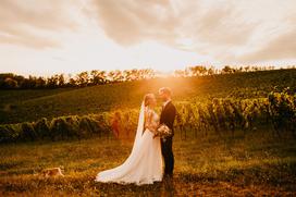 Urška & Domen, poročna fotografija