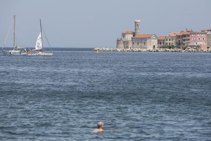 S Sočo v slovensko morje stalno dotekajo karbonatni delci, ki naj bi po zadnjih raziskavah preprečevali zakisanost morja. | Foto: Matej Leskovšek