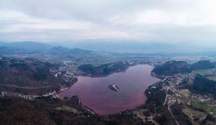 Neverjetni posnetki Blejskega jezera, ki nujno potrebuje pomoč #foto