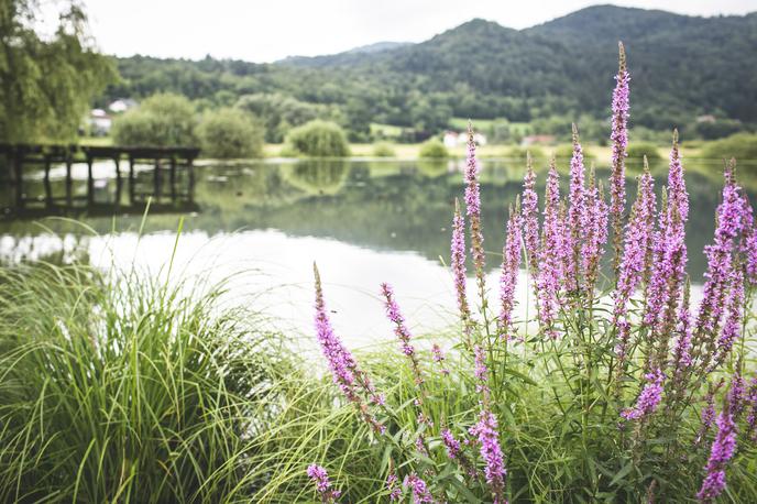 Podpeško jezero | Foto Bojan Puhek