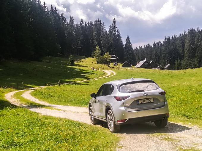 Z 20-centimetrsko oddaljenostjo od tal se CX-5 AWD dobro znajde na razdrapani podlagi, temeljitejšemu terenskemu preizkusu pa smo se, brez rezervnega kolesa, vseeno odpovedali. | Foto: Aleš Črnivec