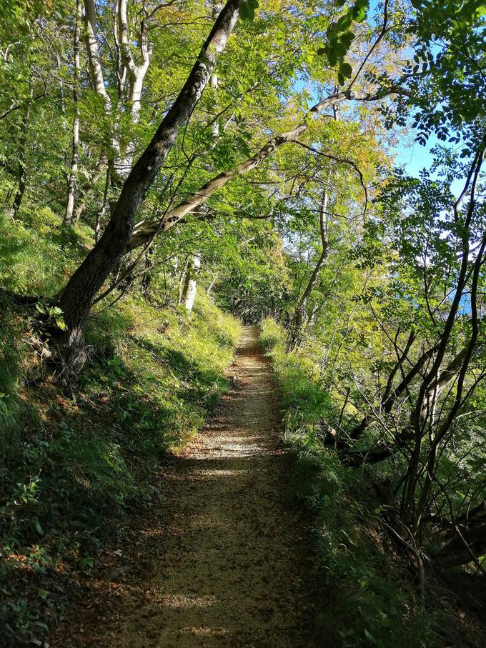 Krožna rečiška pot | Foto: 