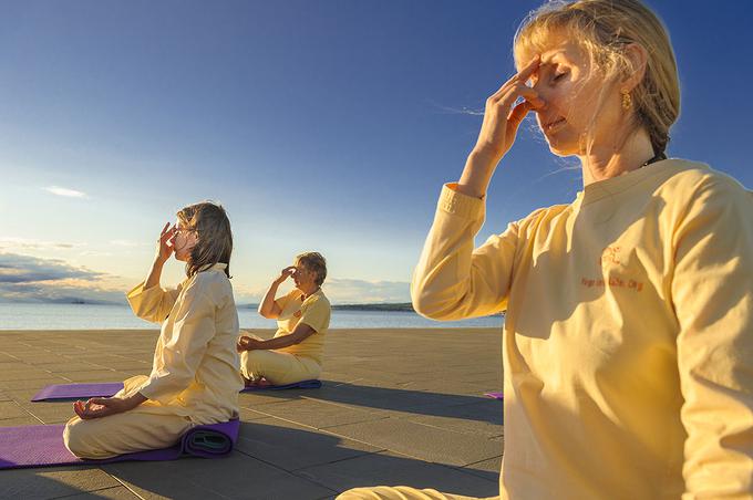 Foto: Yoga in Daily Life – The System │ Bojan Radin | Foto: 