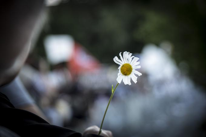 Fotografija je z enega izmed prejšnjih protestov.  | Foto: Ana Kovač