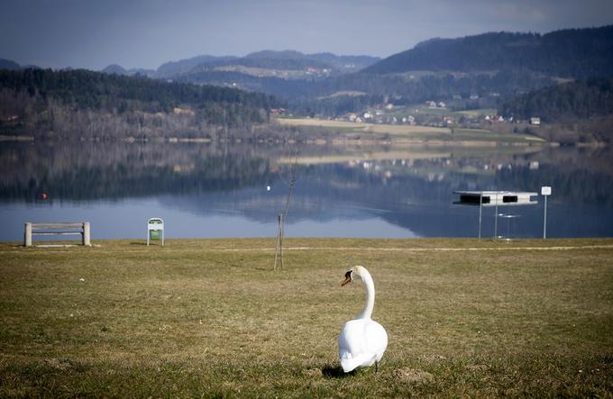 Ob Velenjskem jezeru se nahaja tudi lepo urejena plaža. Še malo pa bo čas za skok v vodo! | Foto: 