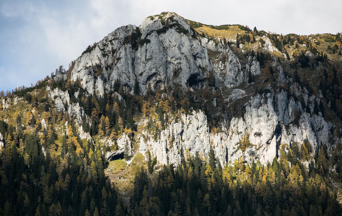 potočka zijalka olševa | Foto Klemen Korenjak