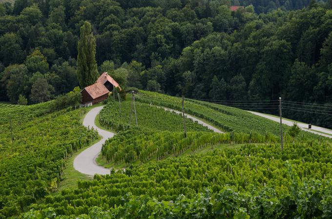 Turistična kmetija Dreisiebner, Srce med vinogradi, Špičnik | Foto: Matjaž Vertuš