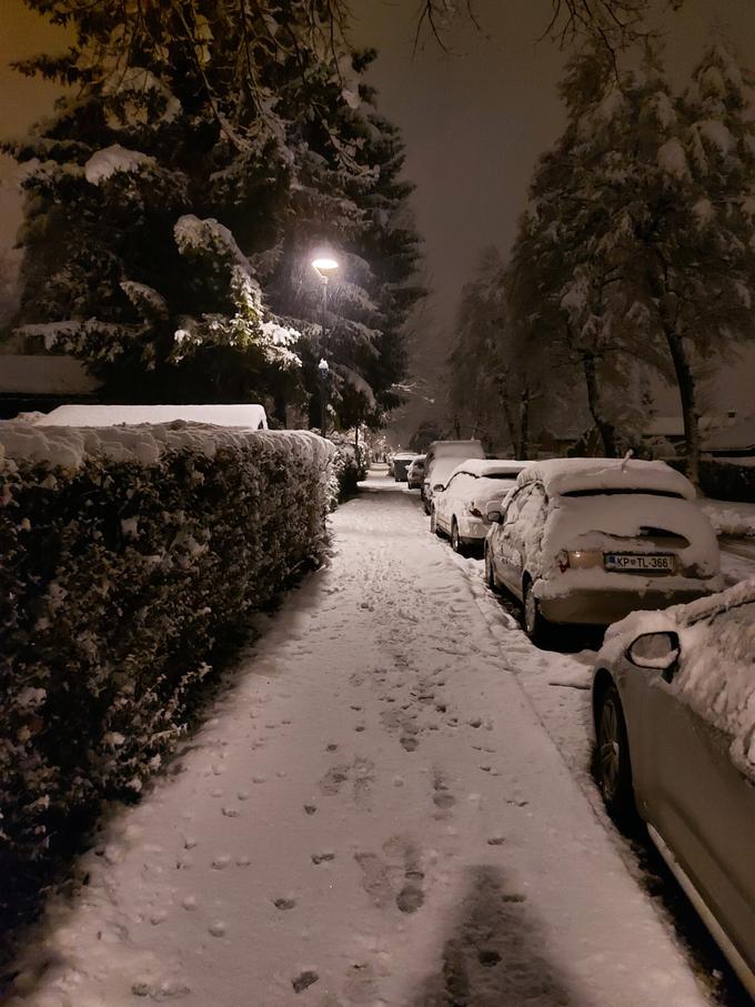 Sneg v Ljubljani | Foto: Boštjan Boh