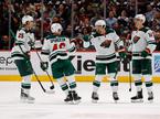 Minnesota Wild