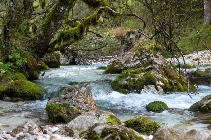 Potok Krajcarica na izhodišču v dolini Zadnjica | Foto: Matej Podgoršek