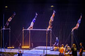 Cirque du Solei Corteo vaja