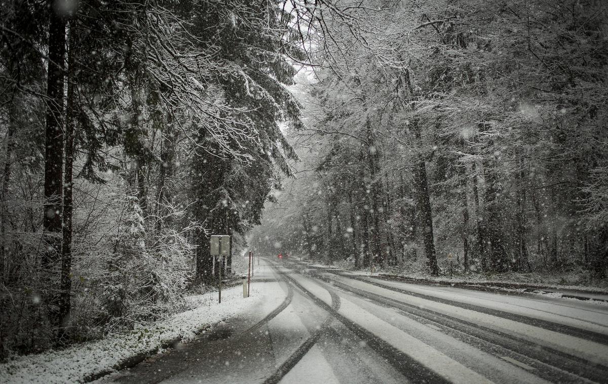 Sneženje | Foto Ana Kovač