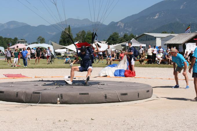 Padalci Lesce | Foto: Zoran Račič