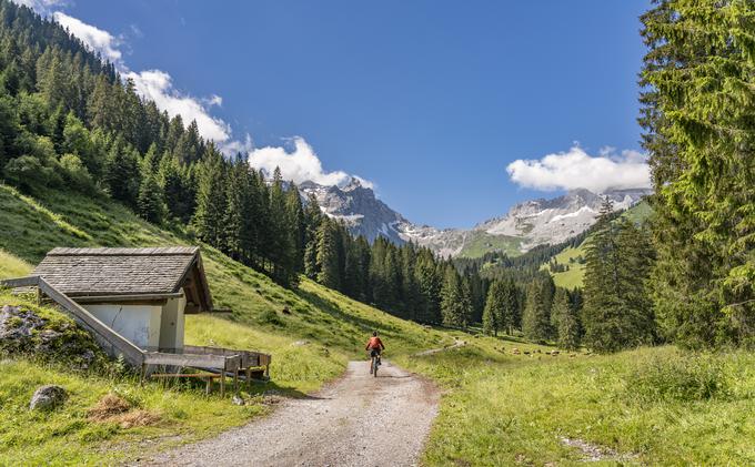 Želja po gibanju v naravi s kolesom je ključna za uspeh. | Foto: 