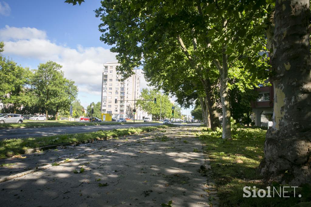 Posledice nočnega neurja v Ljubljani.