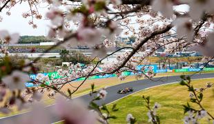 Red Bull na Japonskem kot cvetoče češnje