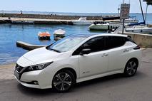 nissan leaf Mangart