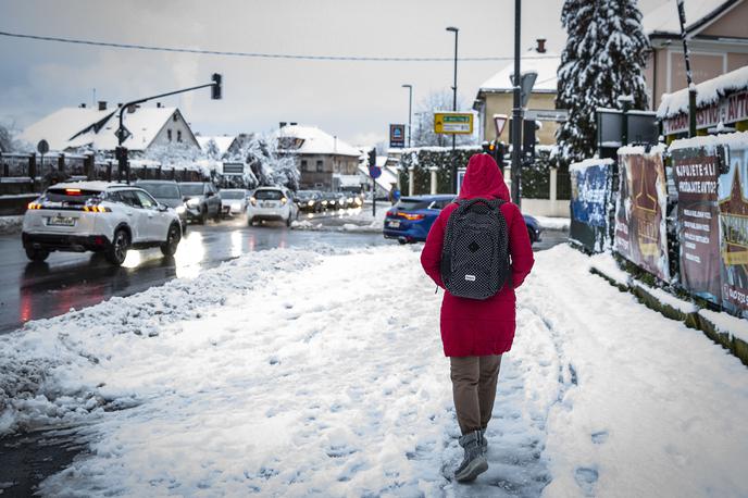 Sneg | Čeprav se z marcem začne meteorološka pomlad, bo v prihodnjih dneh vreme vse prej kot spomladansko. Slovenijo bo zajela obsežna gmota hladnega zraka, ki prinaša ohladitev, sneg in močan veter. | Foto Ana Kovač