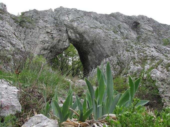 Pod Otliškim oknom je še manjše okno. Naravni kraški most je lahko hkrati cilj in izhodišče za Pot po robu, s katere se odpirajo razgledi do Italije. Daje občutek visokogorja, pa čeprav nismo v visokogorju. | Foto: Janez Medvešek