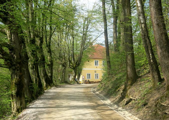 Ocena gostilne: Rožnik | Foto: Miha First