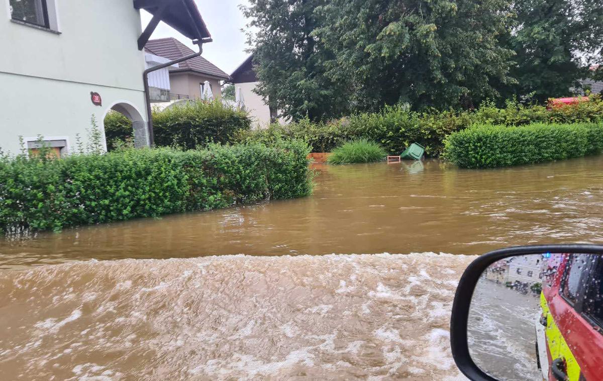 poplave 2023 |  V uničujočih poplavah so ostale ujete številne živali, ki jih ljudje v borbi za preživetje niso mogli rešiti.  | Foto Mediaspeed