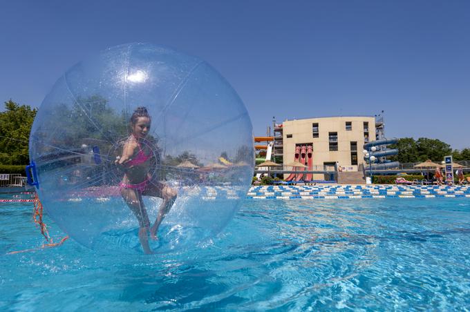 terme ptuj sava turizem | Foto: 