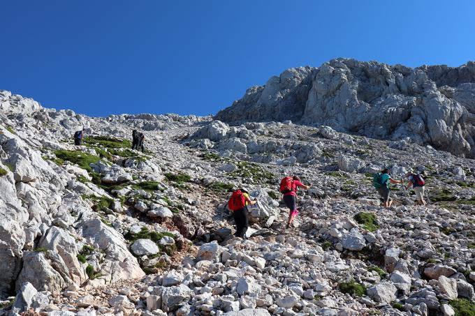 Grintovec | Foto: Matej Podgoršek