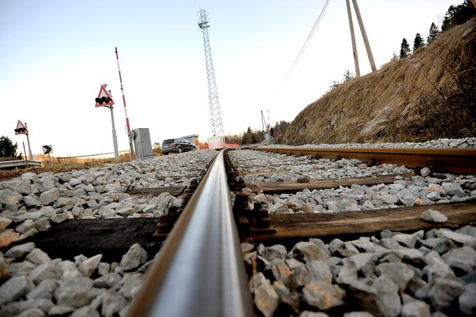 železniška proga tiri | Nekaj pred 15. uro je na železniški progi med Dolgim mostom in Brezovico vlak trčil v kolesarja, ki je za posledicami nesreče umrl.  | Foto STA