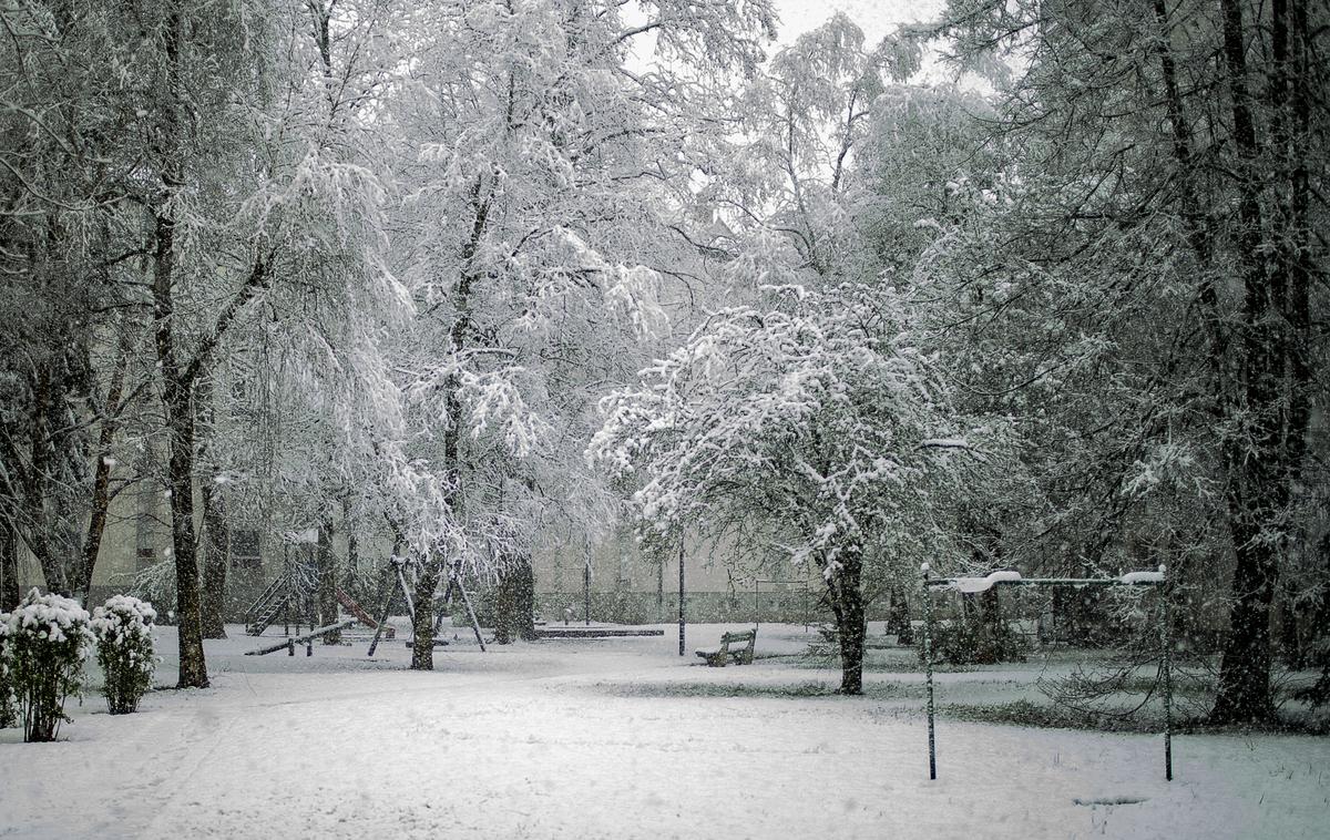 Sneg sneženje Ljubljana | V noči na nedeljo bi se lahko sneg spustil tudi do nižin. | Foto Ana Kovač