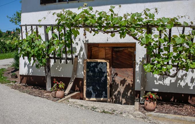 Ekološka kmetija Valentan Vodole Malečnik vino vinograd | Foto: Peter Susič