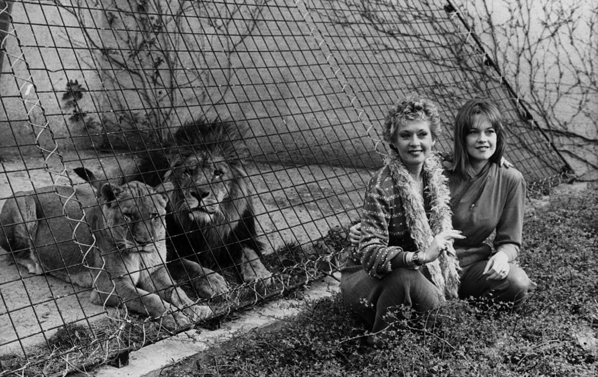 Tippi Hedren | Tippi z Melanie.  | Foto Getty Images