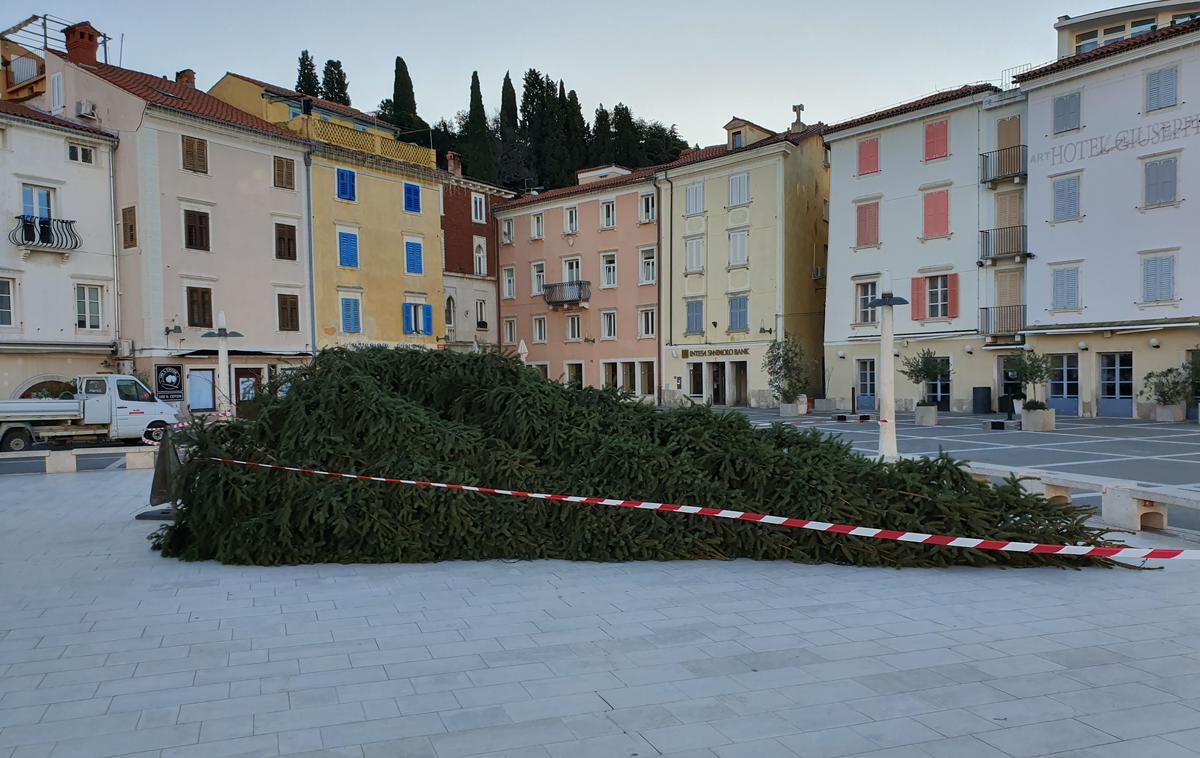 Smreka Piran | Foto Občina Piran