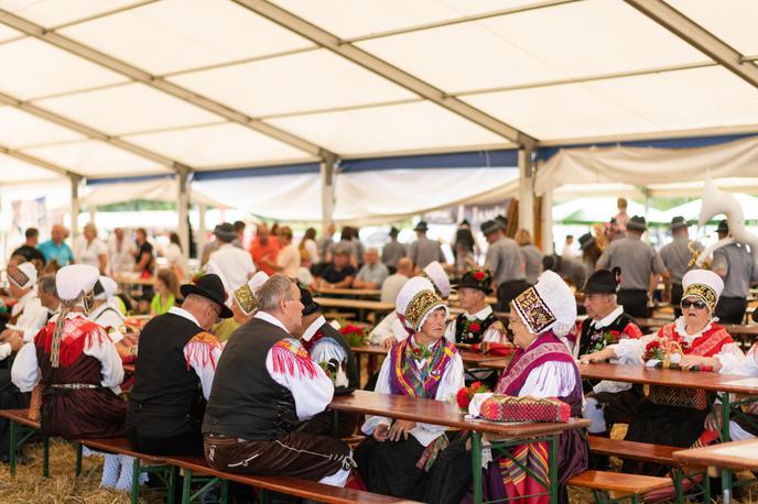 veselica, gasilska veselica | Z zvočnim hrupom obremenjene prireditve lahko sicer potekajo največ do 24. ure, z izjemo praznikov ali dela prostih dni, ko lahko potekajo do 2. ure, je povedal poslanec SDS Kosi. Meni, da bi to onemogočilo prireditve, kot so gasilska tekmovanja, ki se prevesijo v gasilske veselice. | Foto Boštjan Podlogar/STA