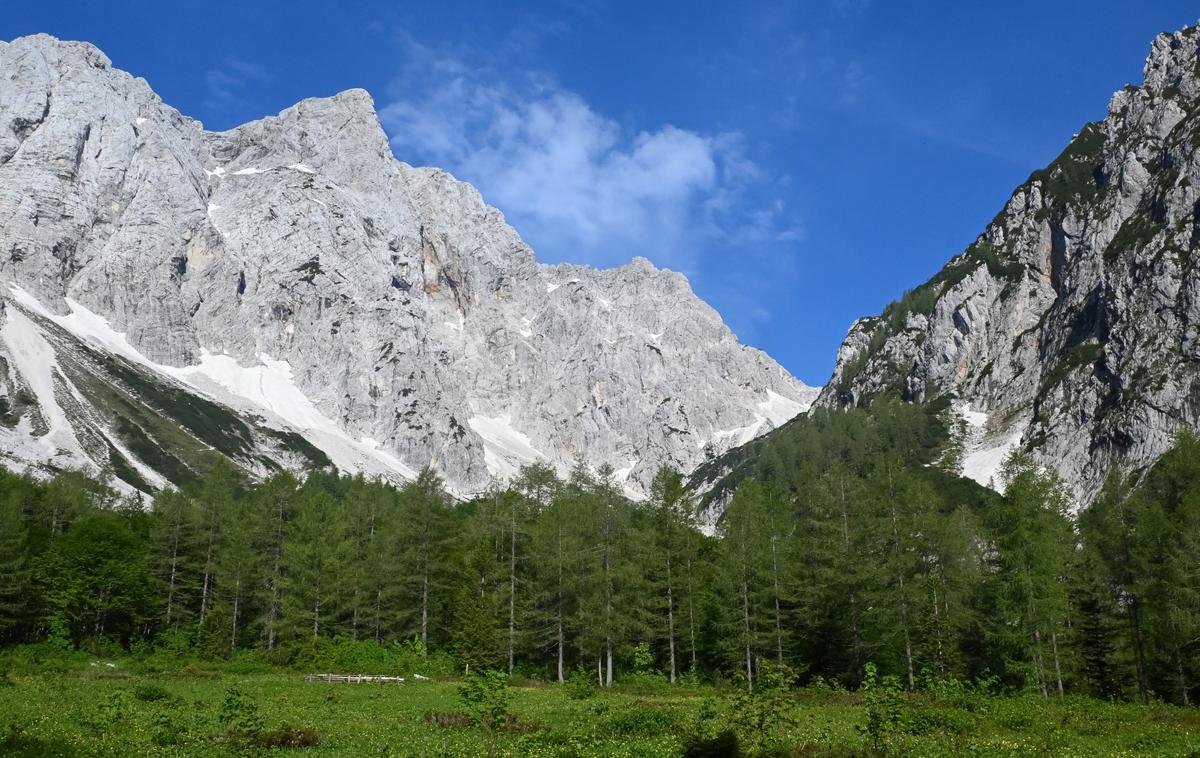 Logarska dolina Rinka Okrešelj | Krnica Okrešelj je kot amfiteater. Nad nami se dvigajo dvatisočaki Kamniško-Savinjskih Alp. | Foto Matej Podgoršek