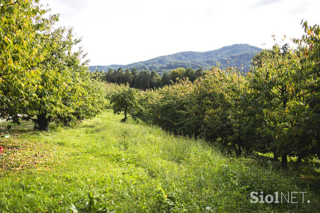 Kmetija Snopičar, Češnjice.